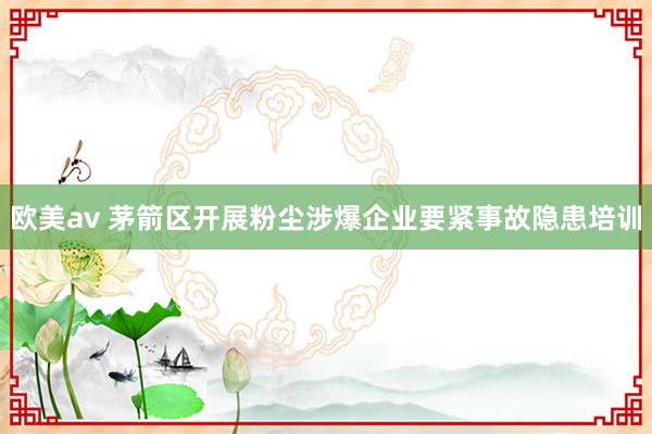欧美av 茅箭区开展粉尘涉爆企业要紧事故隐患培训