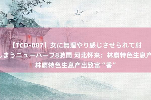 【TCD-087】女に無理やり感じさせられて射精までしてしまうニューハーフ8時間 河北怀来：林麝特色生息产出致富“香”