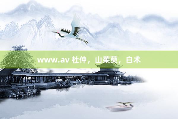 www.av 杜仲，山茱萸，白术