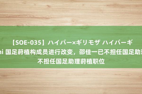 【SOE-035】ハイパー×ギリモザ ハイパーギリモザ Ami 国足莳植构成员进行改变，邵佳一已不担任国足助理莳植职位